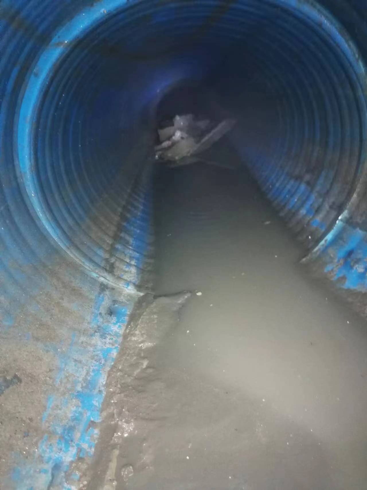 廊坊市管道疏通化粪池清理