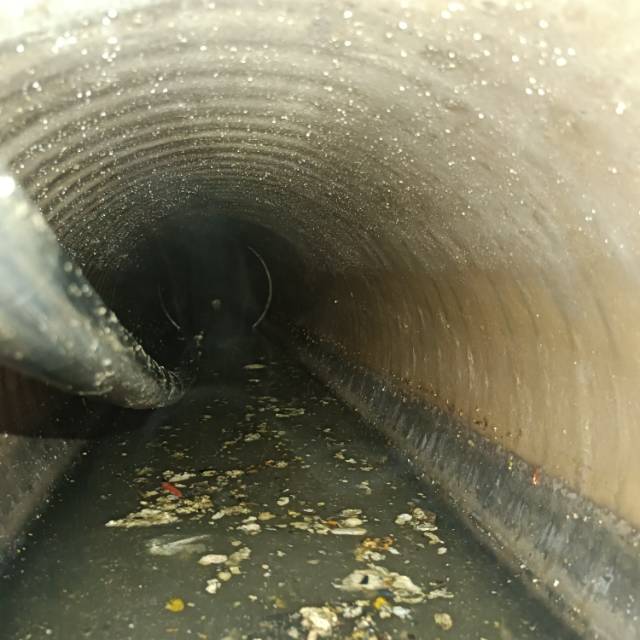 专业疏通管道   清理化粪池  污水转运  泥浆转运