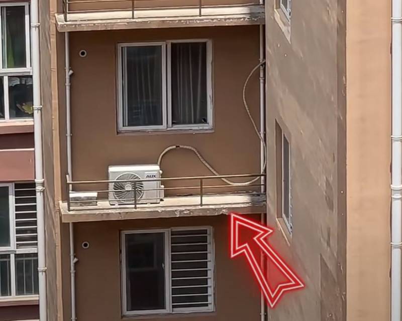 维