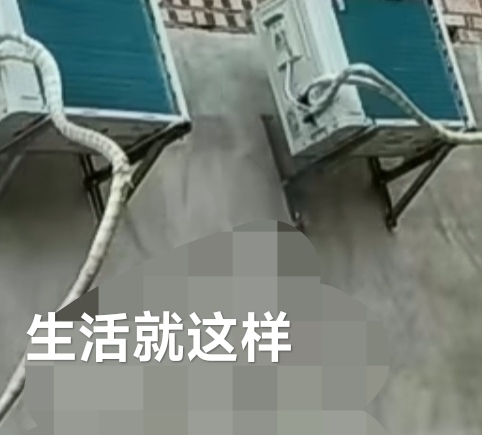 维