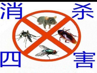 擅长消杀蟑螂蚂蚁老鼠蚊蝇等各种害虫。