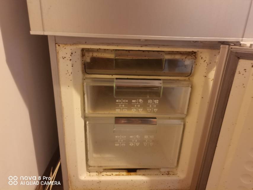 客户家冰箱生虫了去了好几个师傅干不了