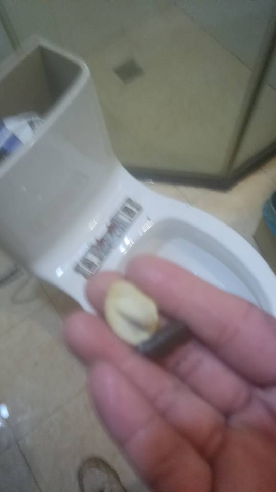 专业管道疏通，马桶。洗菜池，地漏，水龙头，安装维修。