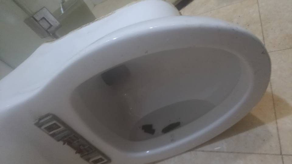 专业管道疏通，马桶。洗菜池，地漏，水龙头，安装维修。