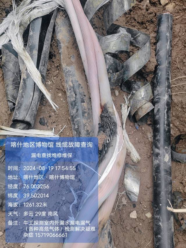地区博物馆电缆维修