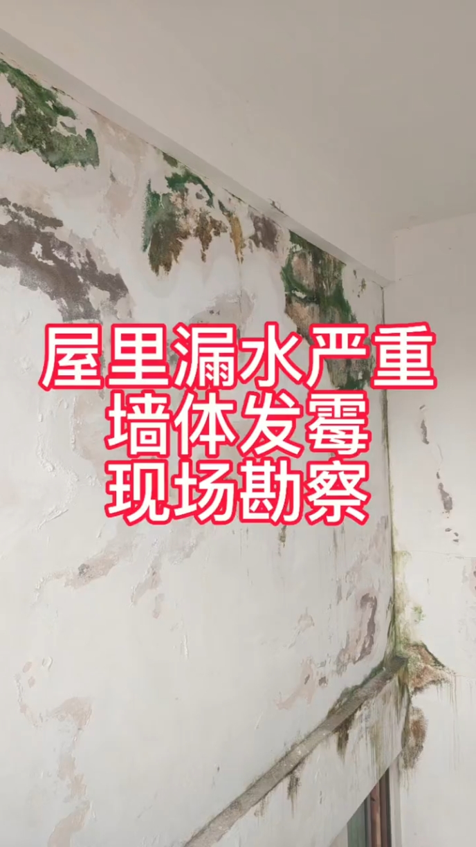 防水漏水维修，墙面在刷新
