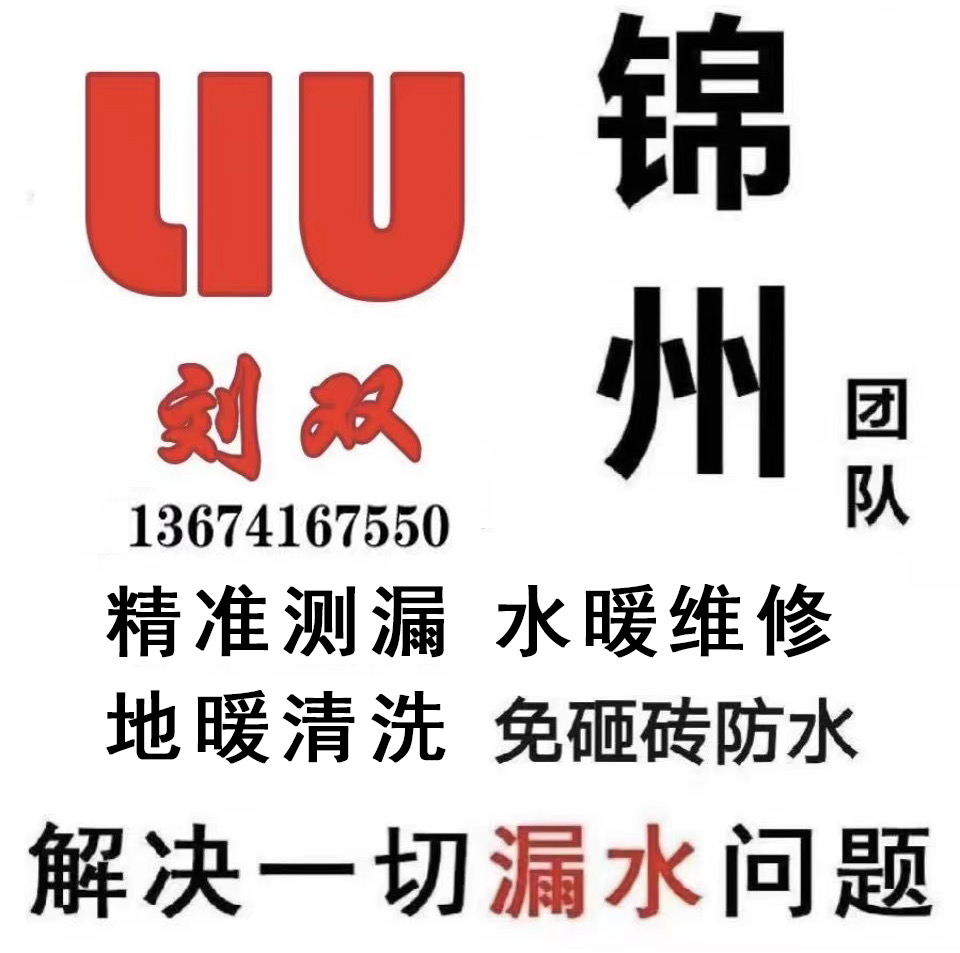 刘双漏水检测