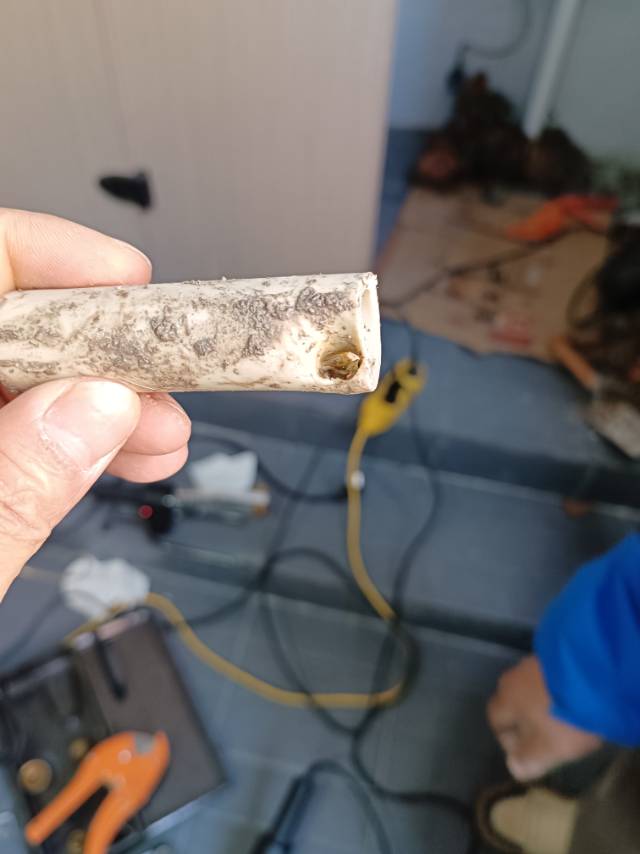 专业团队，漏水检测维修精准定位