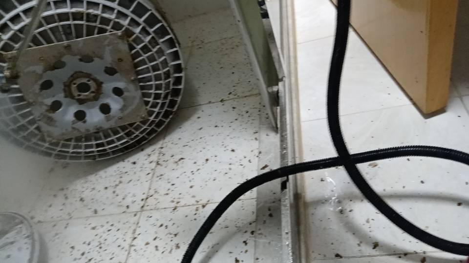 上门为客户清洗波轮洗衣机