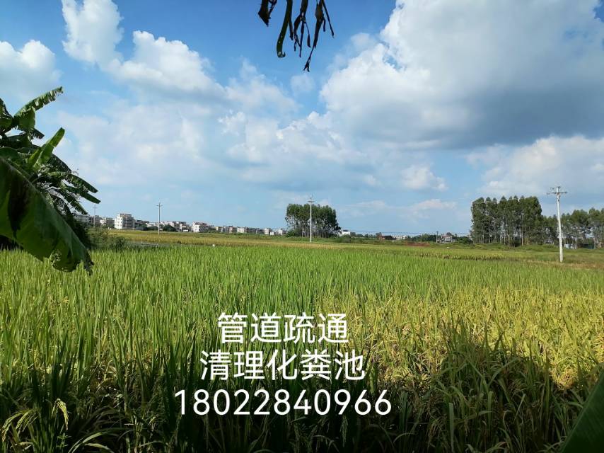 吴川同城管道疏通 清理化粪池