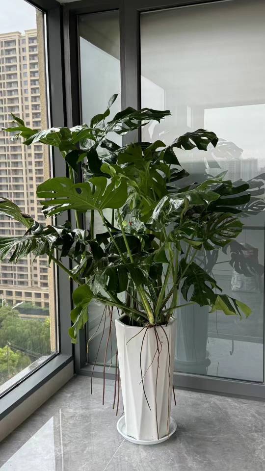 全屋定制