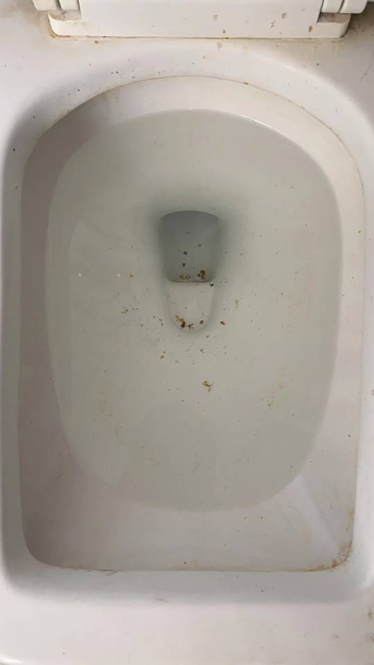 儋州疏通管道