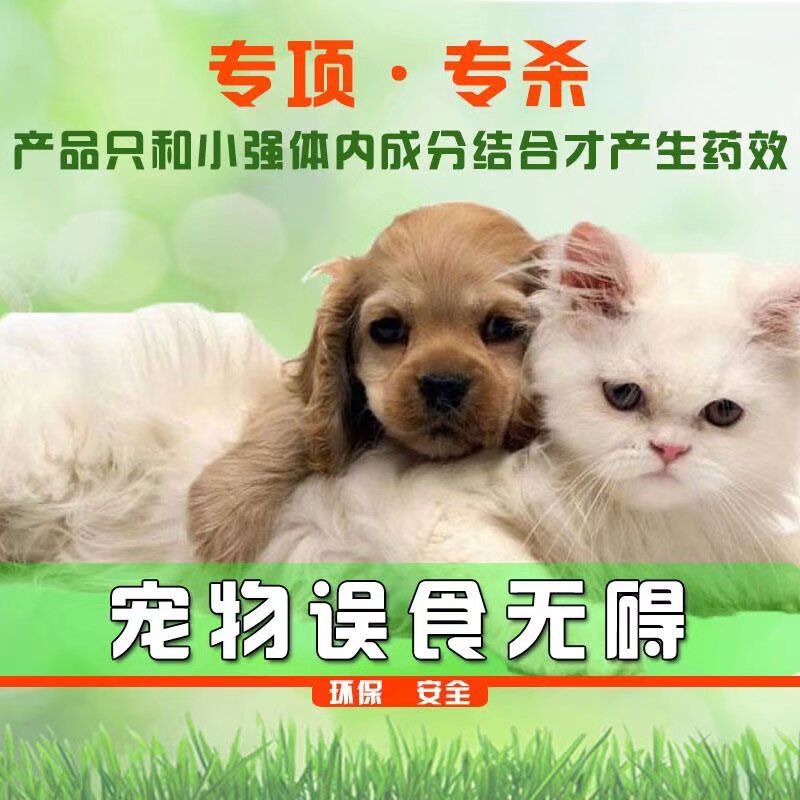 专业家里清洗，四害消杀，除甲醛