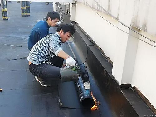 苏州市专业房屋维修防水补漏服务好价格低