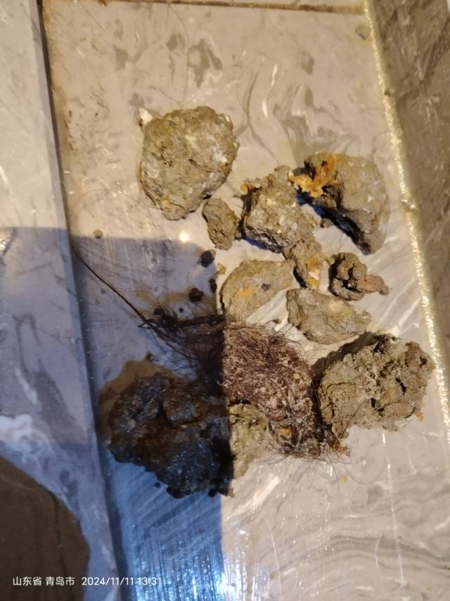 地漏疏通
