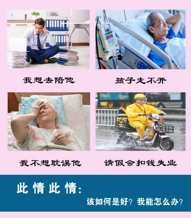 红太阳保姆公司