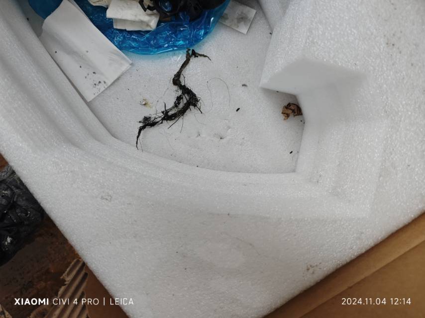 修水县本地管道疏通 清洗改管