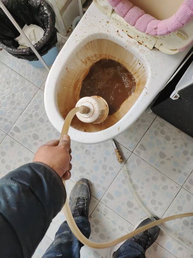 赵师快修