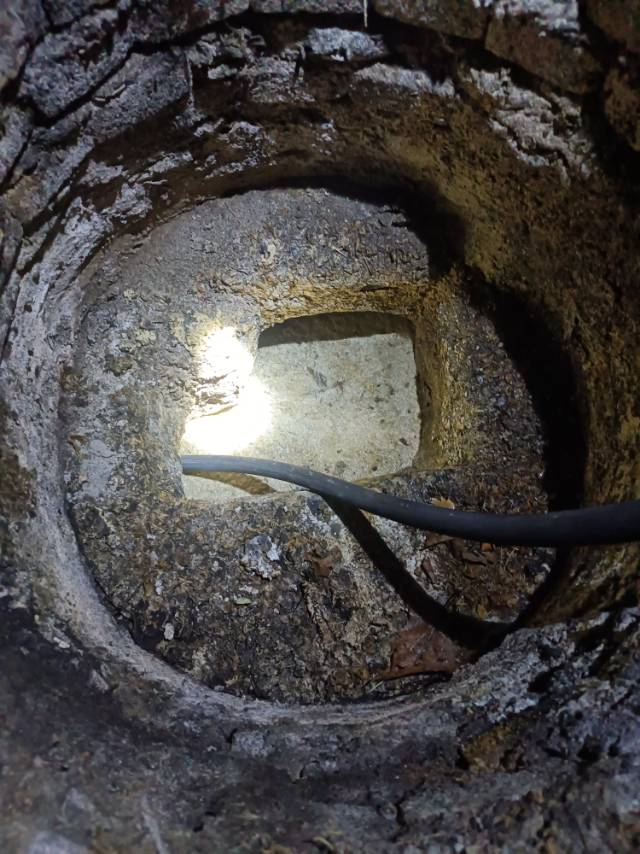 专业通下水道，修马桶，清洗管道，抽化粪池