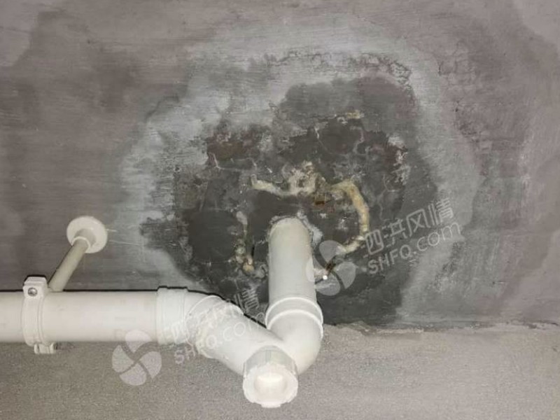 漏水检测精准定位清洗地暖免砸砖防水PVC换主题馆