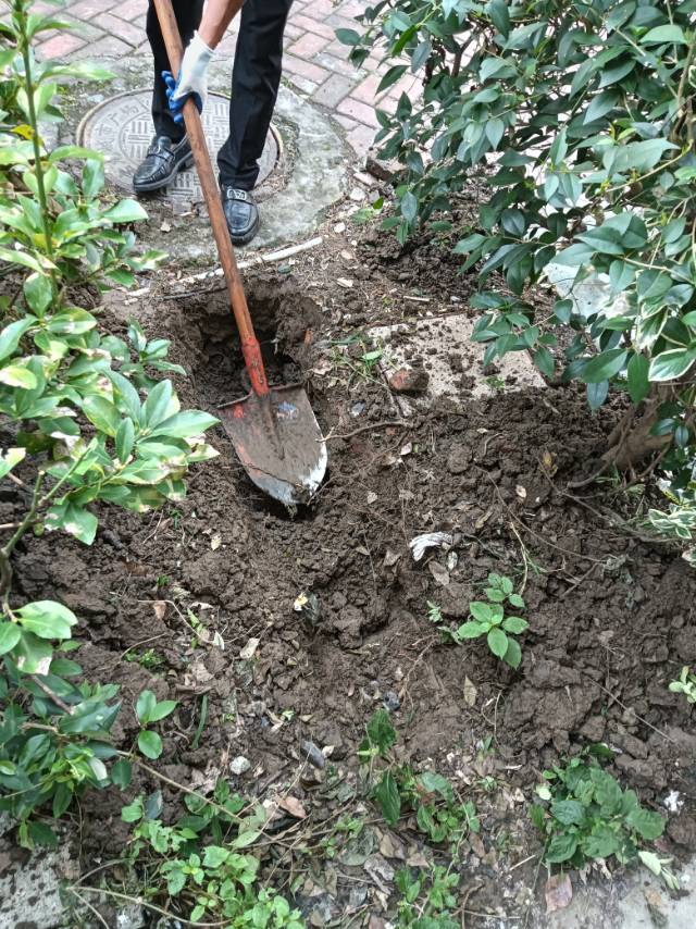 太仓市专业疏通各种下水道