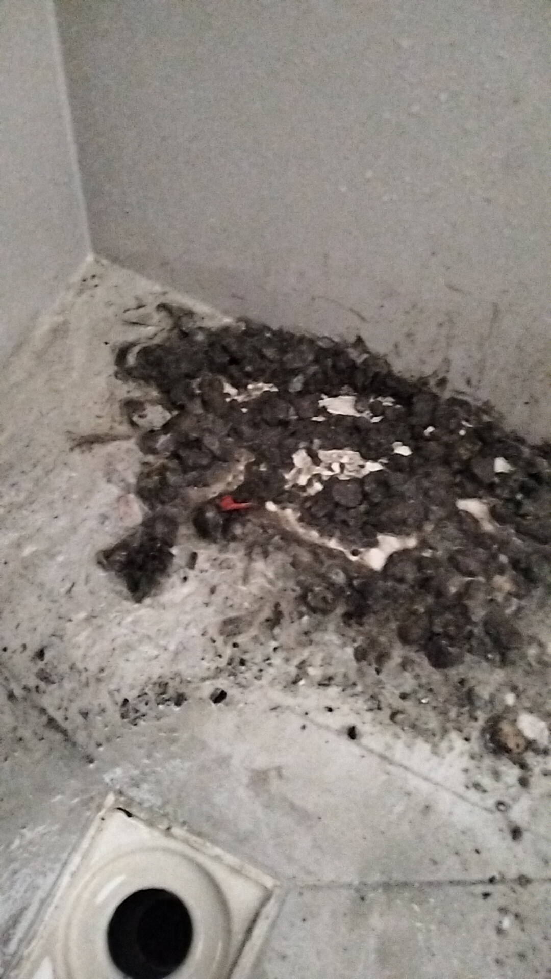 亳州市谯城区管道疏通，自来水管维修测漏清洗