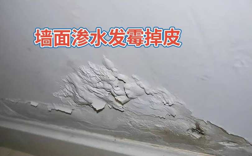 安顺市以及周边防水检测维修免费上门