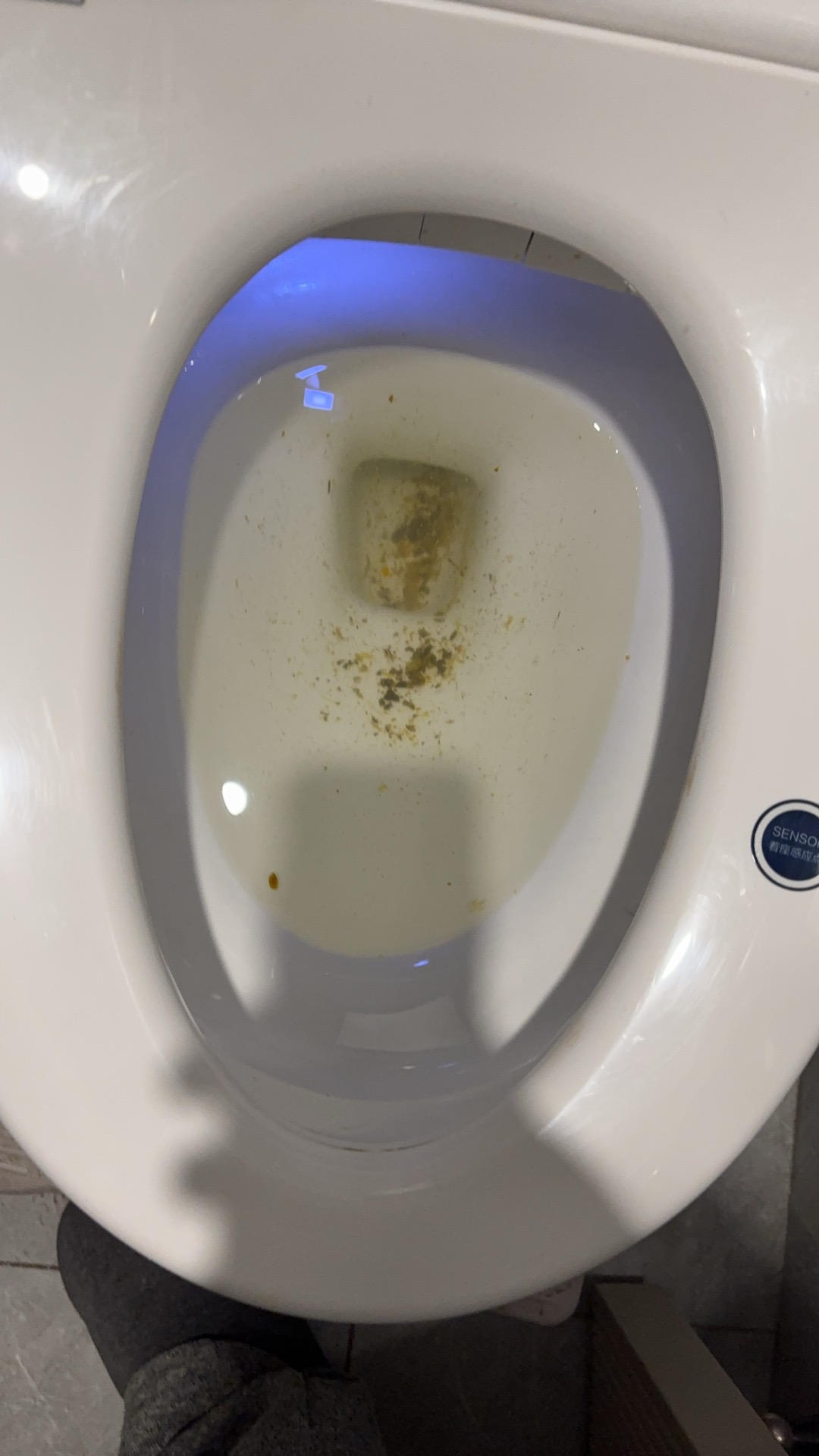马桶堵了