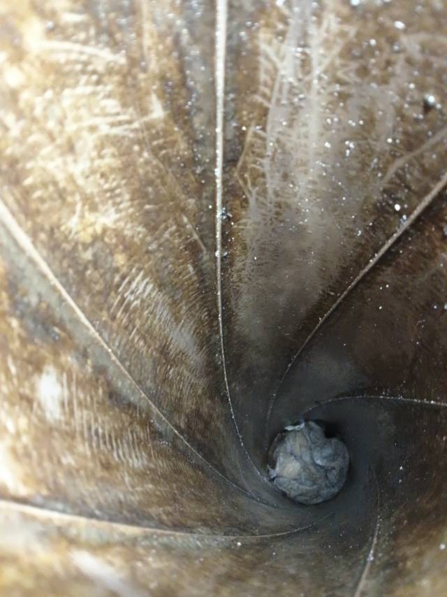 专业疏通下水道