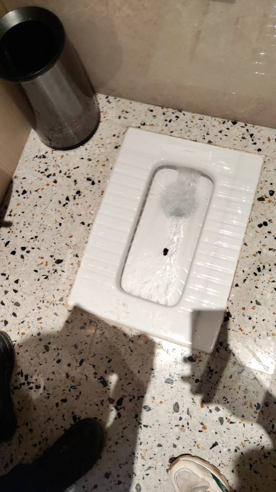 蹲厕取物