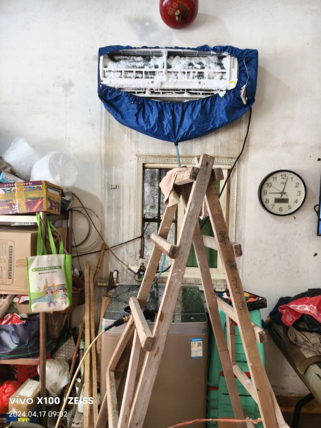 家政