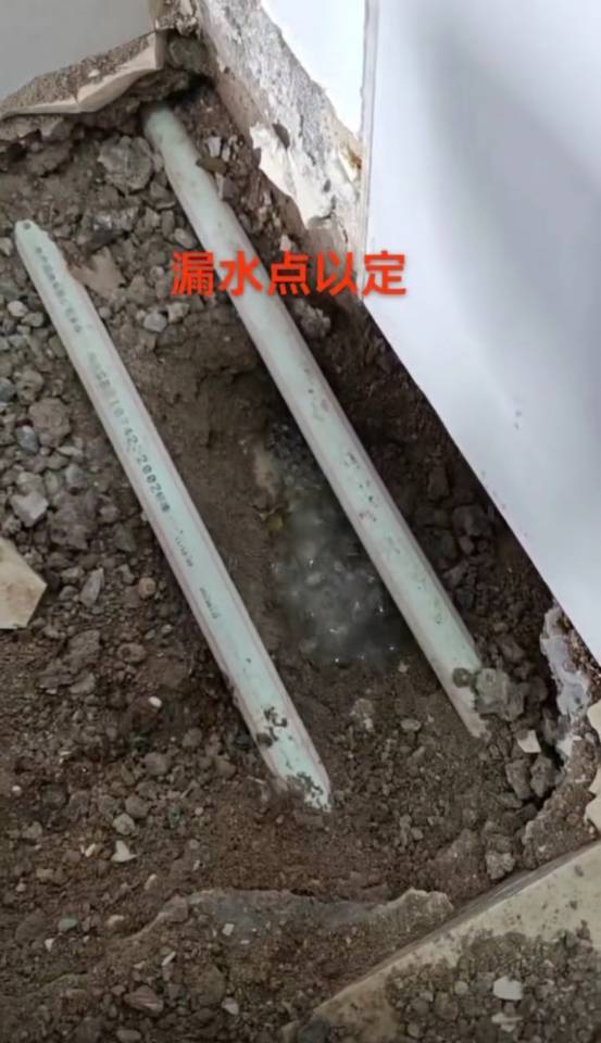 专业检测各种漏水，水暖维修，清洗地热，疏通下水，马桶，更换水龙头，做各种防水，