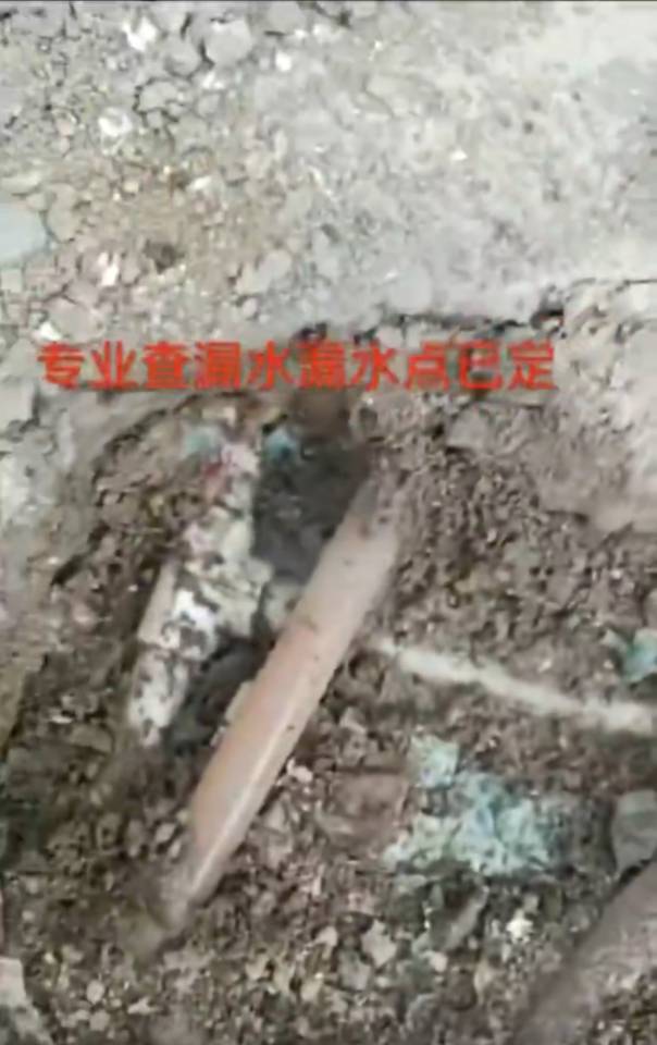 专业检测各种漏水，水暖维修，清洗地热，疏通下水，马桶，更换水龙头，做各种防水，