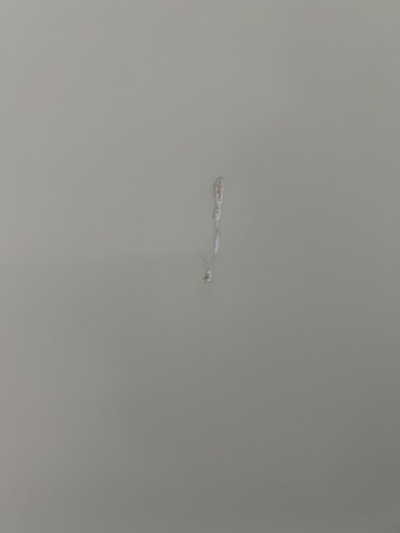 你的需求，我的专业……专业修补家具瓷砖