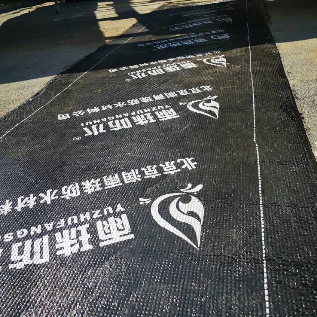 防水补漏，屋顶外墙防水，家庭各种漏水漏雨维修