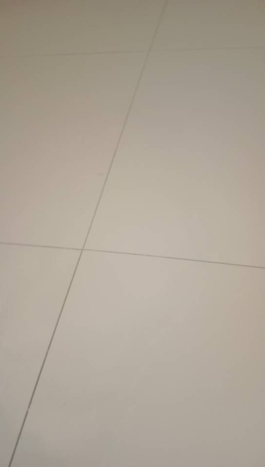贴专