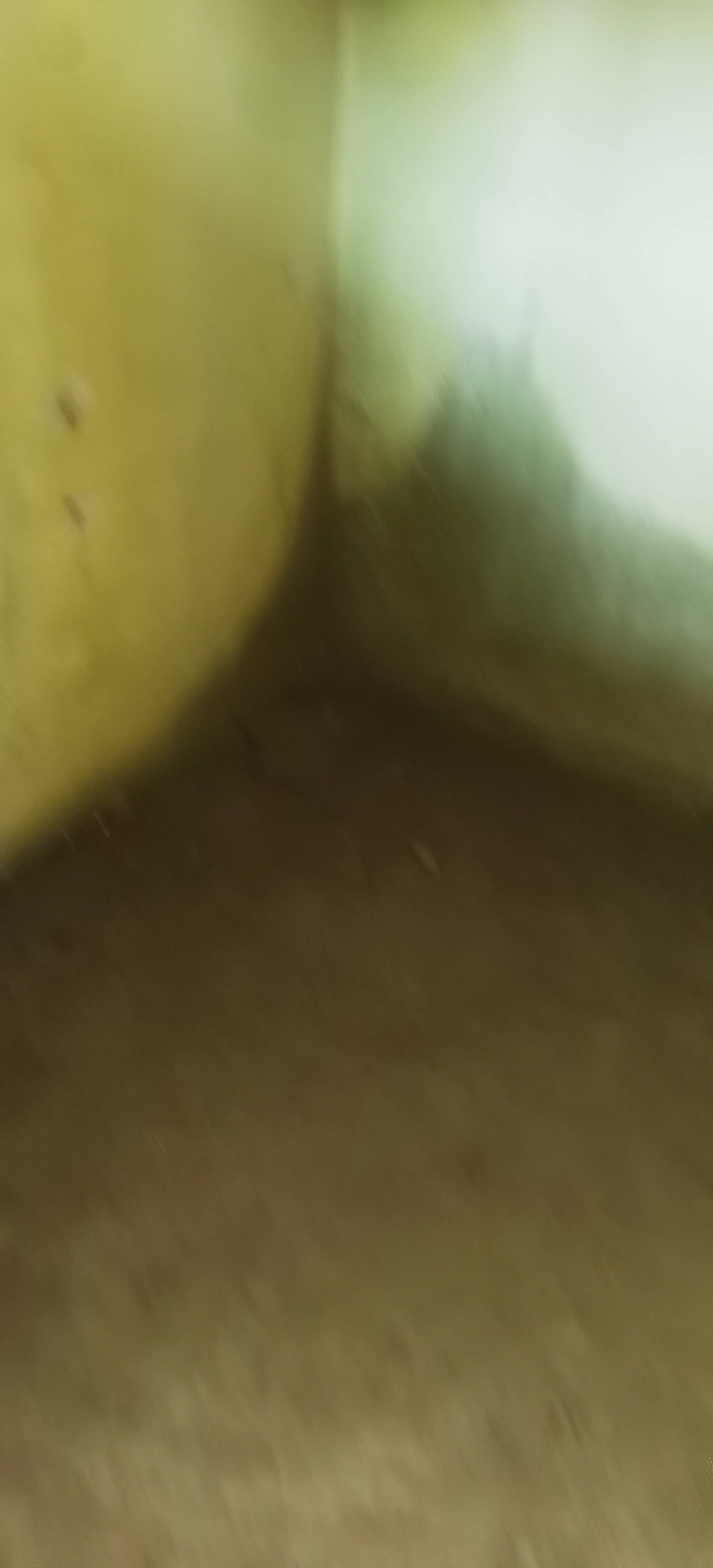 沈阳鸿泽防水堵漏工程有限公司