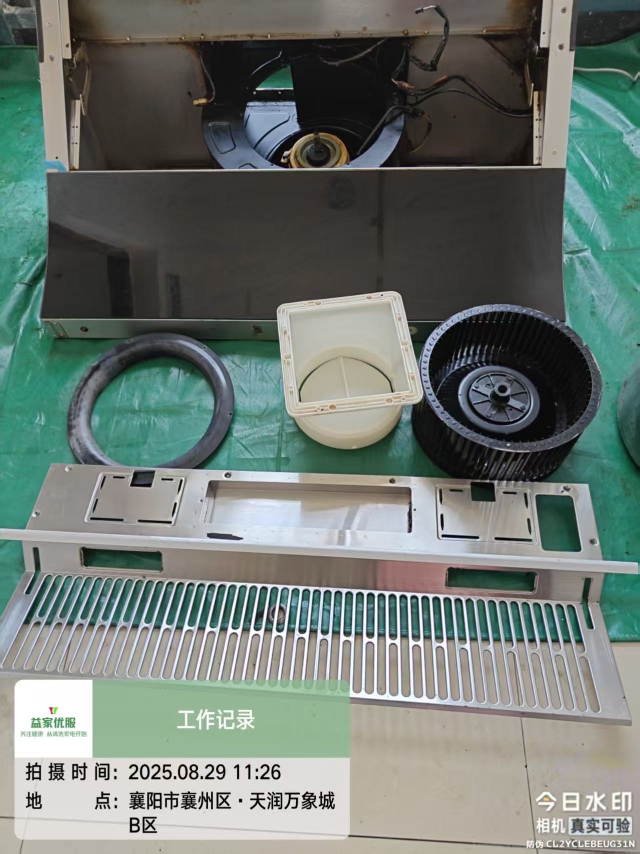 我的工作 和技能