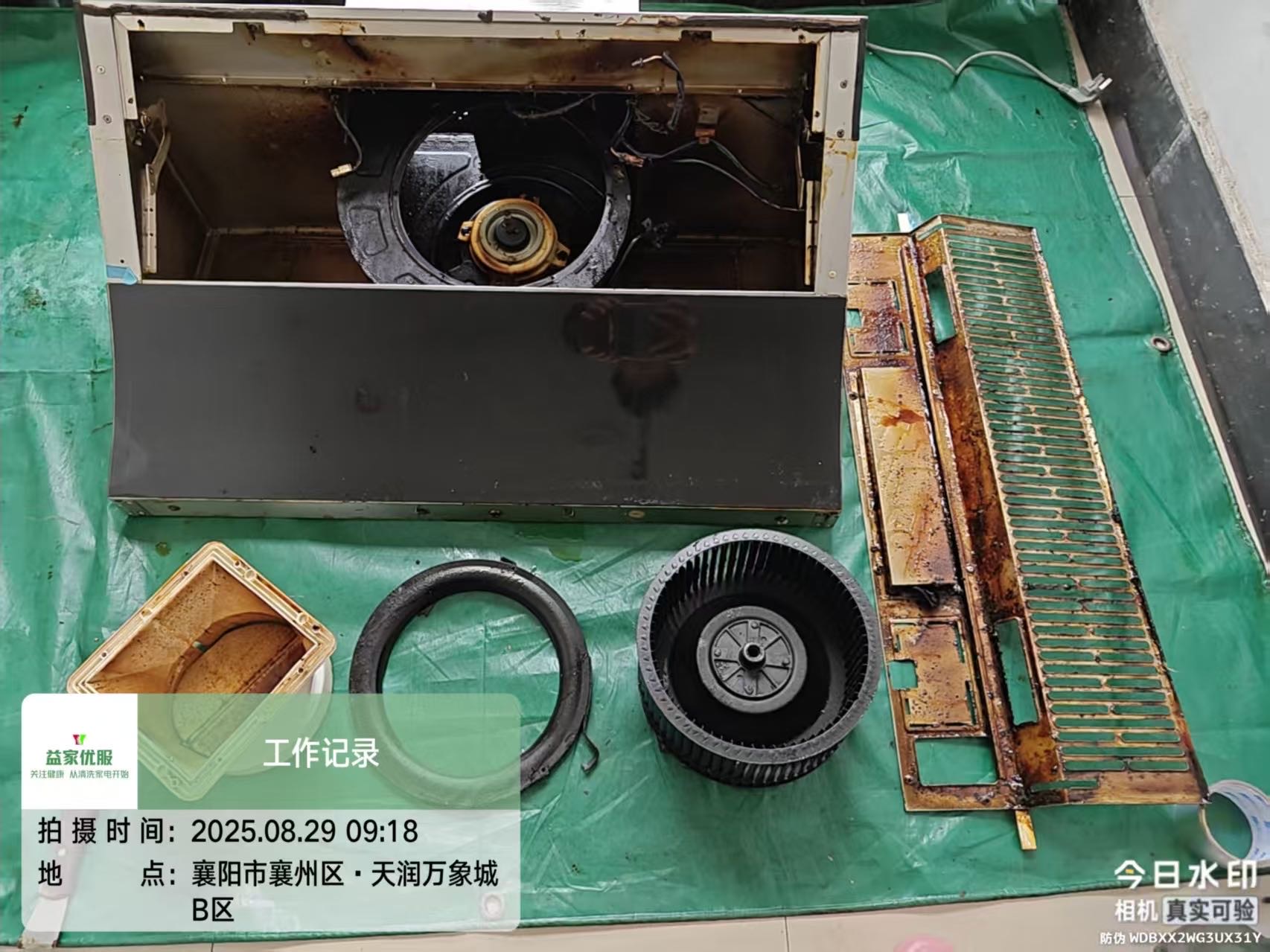 我的工作 和技能