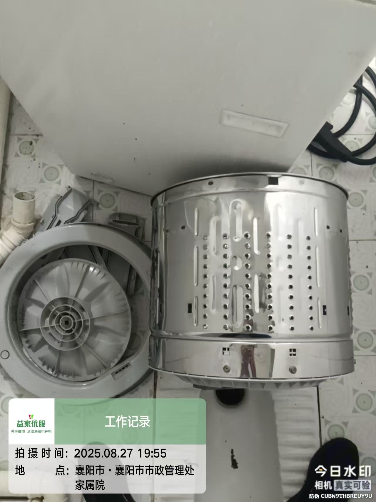 我的工作 和技能