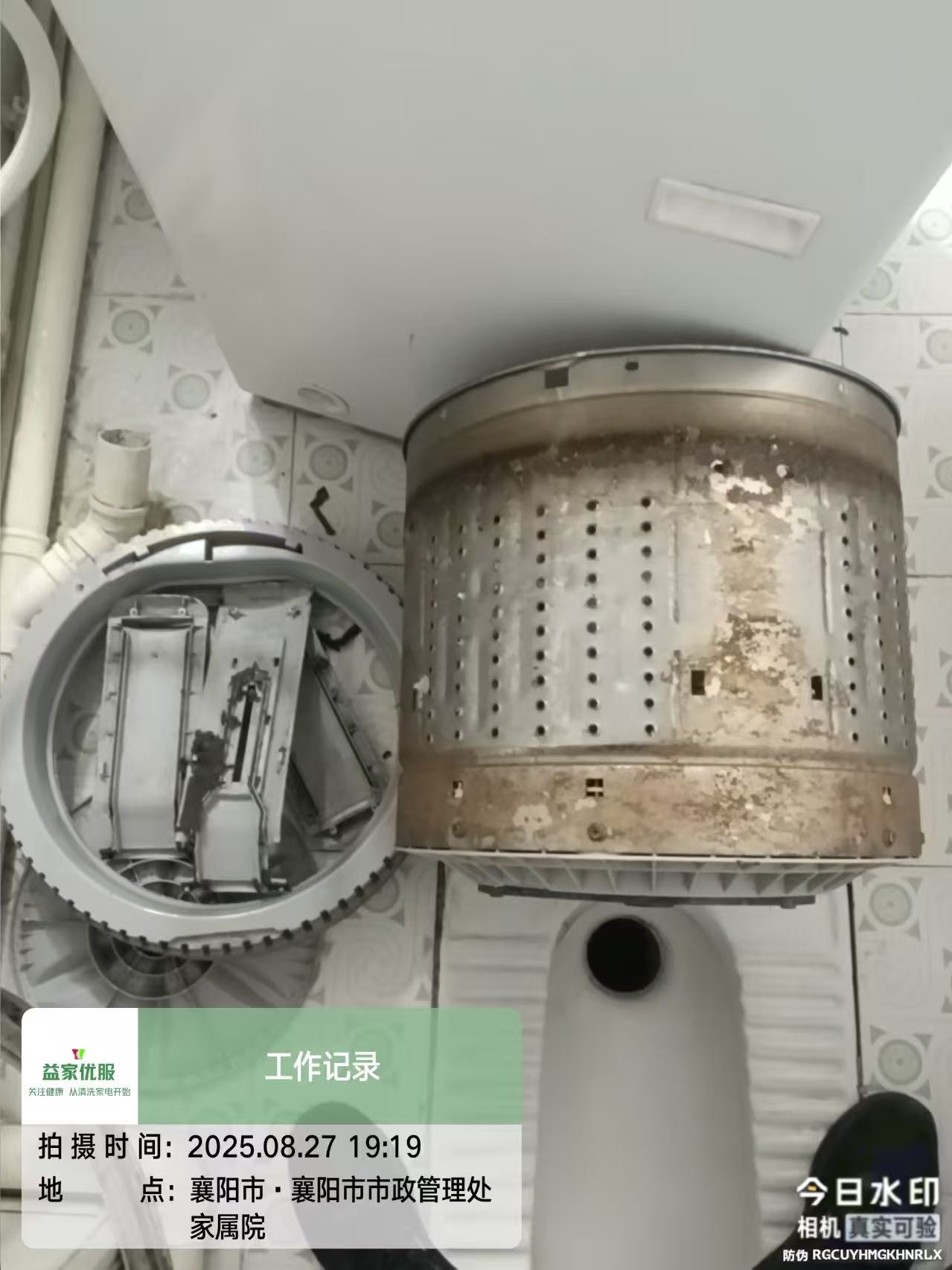 我的工作 和技能