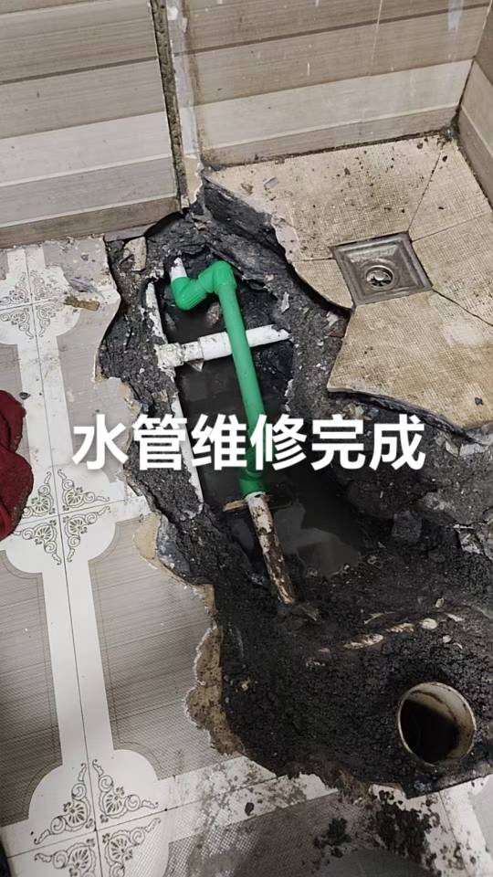 镇雄县家政一条龙服务
