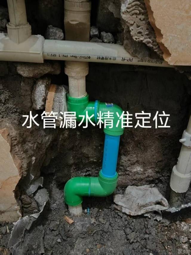 镇雄县家政一条龙服务