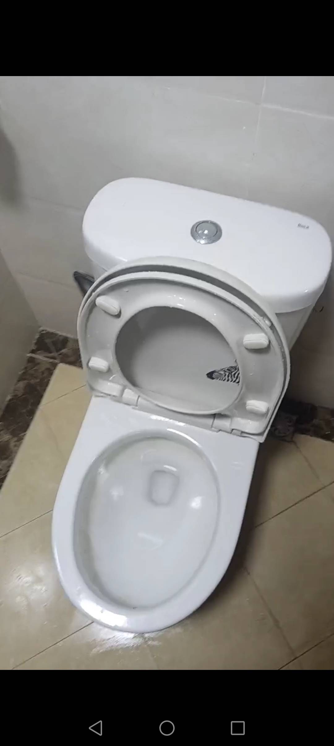 阳江市专业疏通各种管道