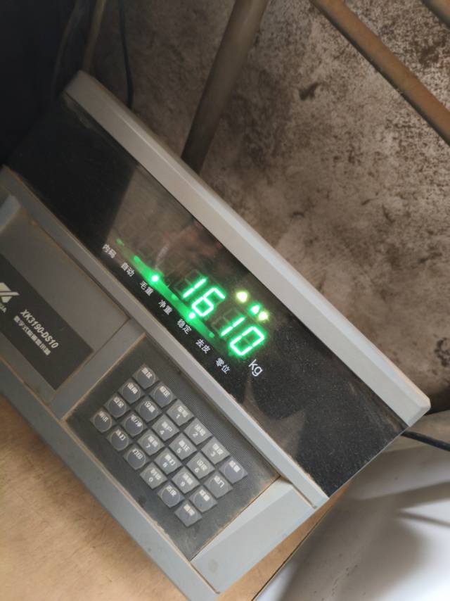 嘉兴电子地磅显示ERR05故障码维修
