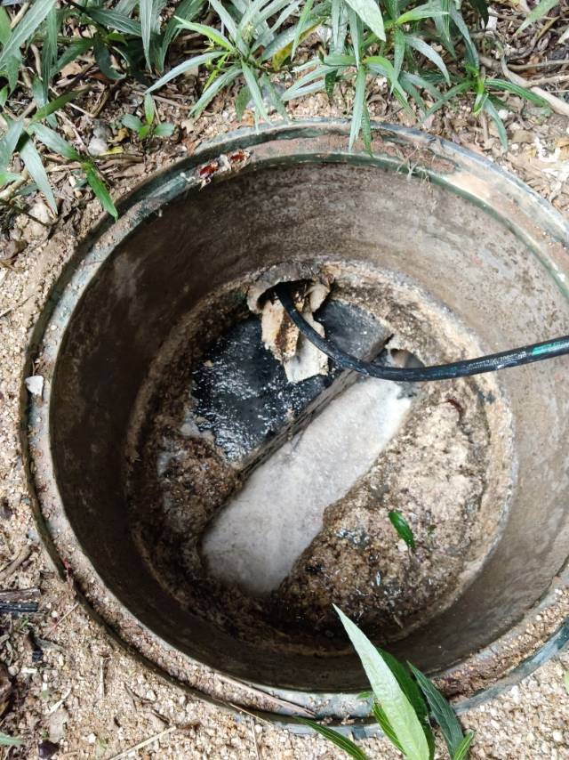 专业疏通