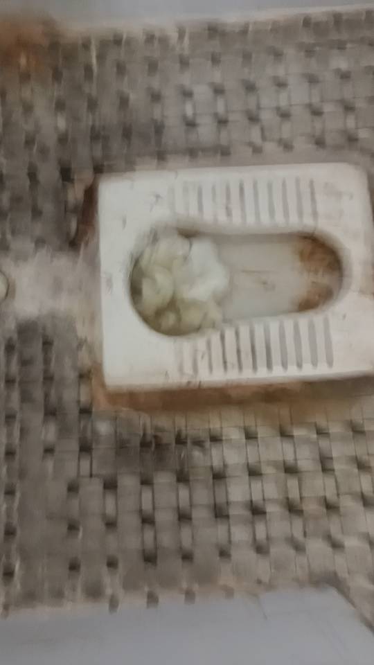 在佛山专业蔬通管道十几年