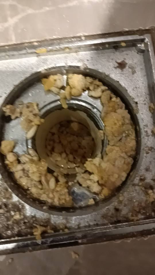 在佛山专业蔬通管道十几年