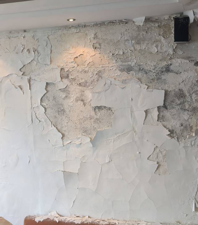 宁波漏水检测，漏水维修，防水补漏
