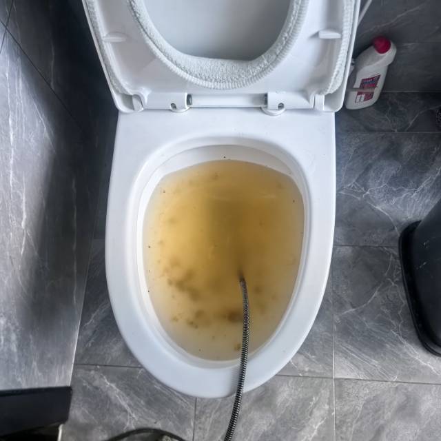 专业疏通马桶，洗菜盆，淋浴房地漏等下水管道